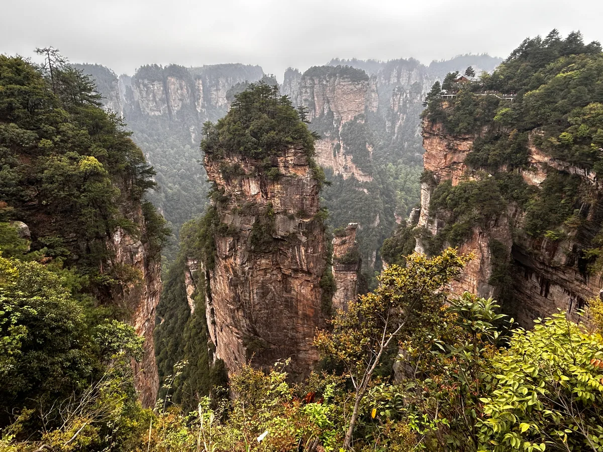 Sandstone peaks rising through the forest in Wulingyuan, China